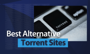 This is another torrentdrive alternative.
