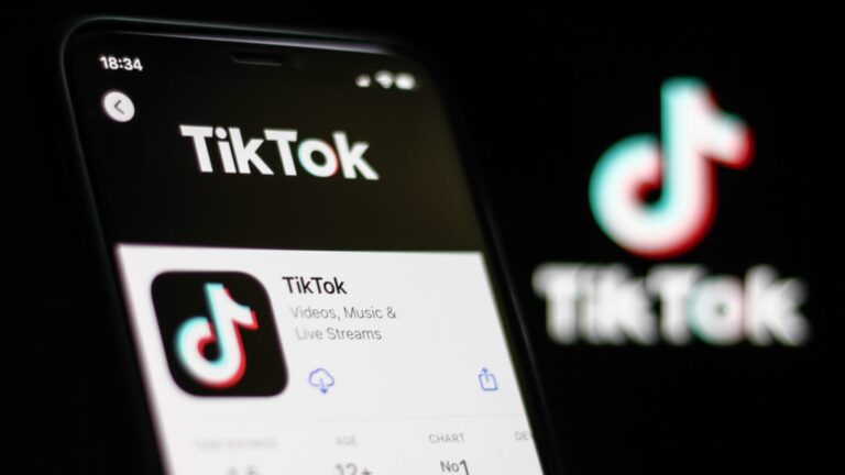 TikTok Profile