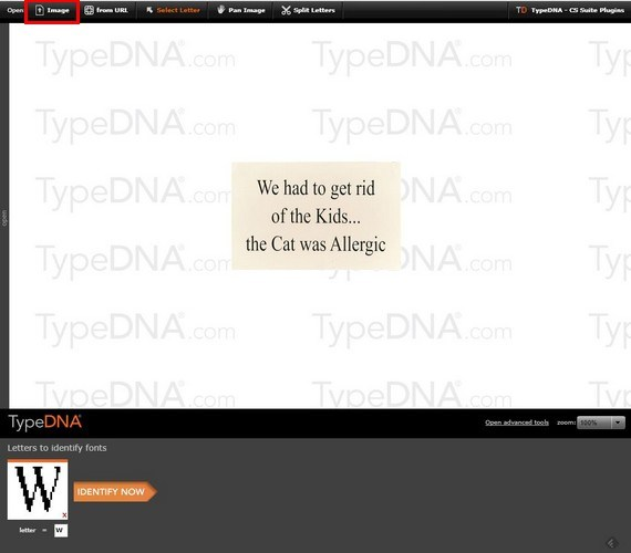 Fonts