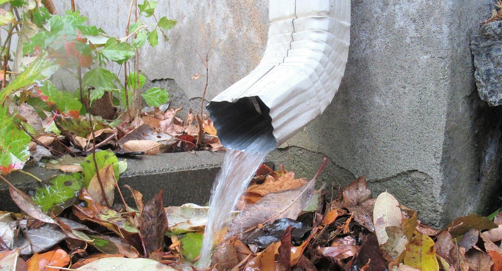 Home Maintenance