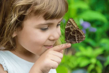 Butterfly Quotes