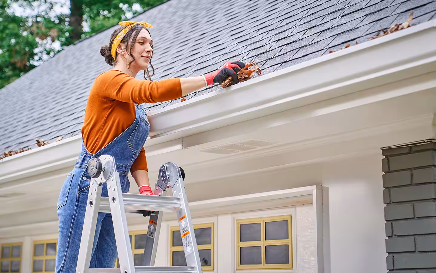 Home Maintenance