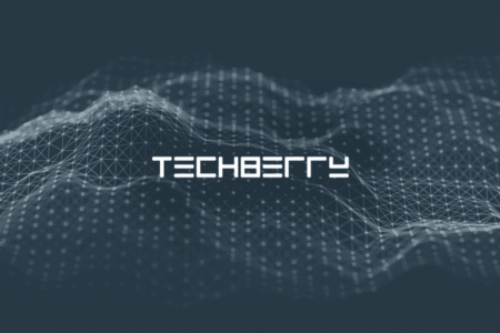 TechBerry Security